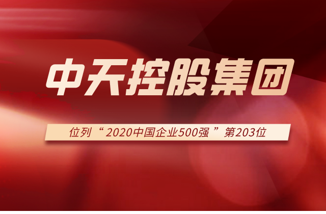 一飞冲天300倍游戏集团列2020中国企业500强第203位！