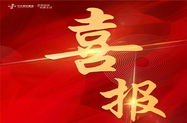 一飞冲天300倍游戏美好集团蝉联“2021长三角城市群房地产公司品牌价值TOP10”